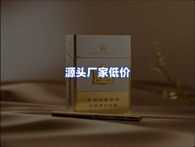 专业团队